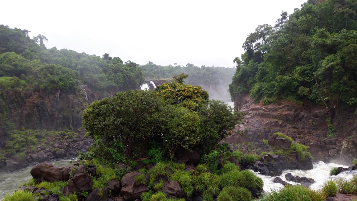 Iguazu7
